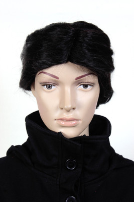 

Ritzkart Short Hair Wig(Men)