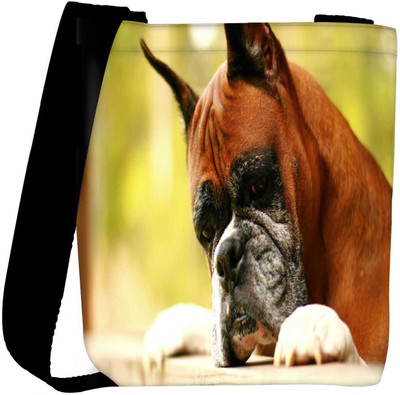 

Snoogg Sling Bag(Multicolor)