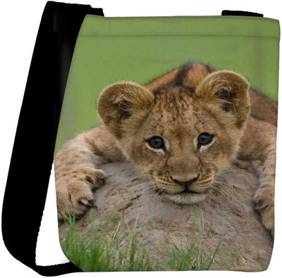 

Snoogg Sling Bag(Multicolor)