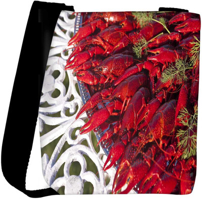 

Snoogg Sling Bag(Multicolor)