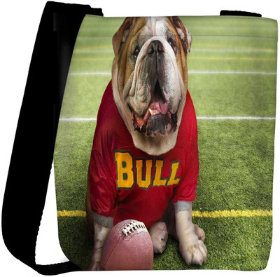

Snoogg Sling Bag(Multicolor)