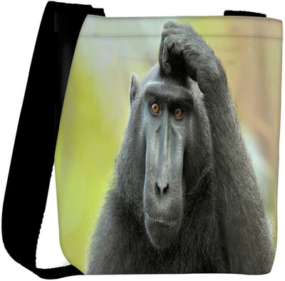 

Snoogg Sling Bag(Multicolor)