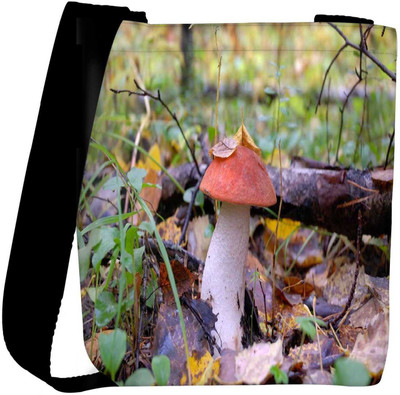 

Snoogg Sling Bag(Multicolor)