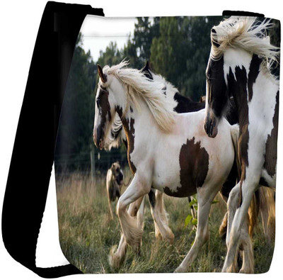 

Snoogg Sling Bag(Multicolor)