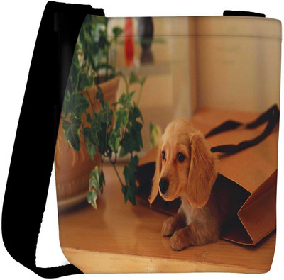 

Snoogg Sling Bag(Multicolor)