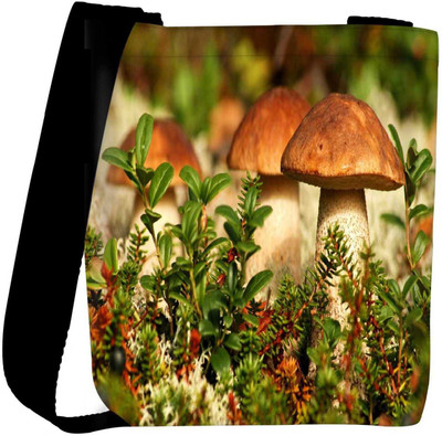 

Snoogg Sling Bag(Multicolor)