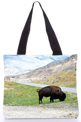

Snoogg Tote(Multicolor)