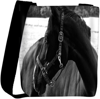 

Snoogg Sling Bag(Multicolor)
