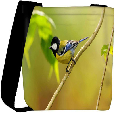 

Snoogg Sling Bag(Multicolor)