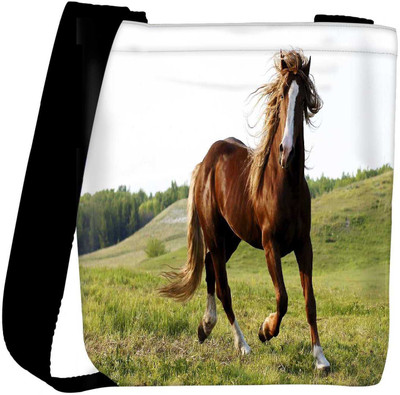 

Snoogg Sling Bag(Multicolor)