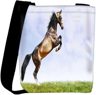 

Snoogg Sling Bag(Multicolor)