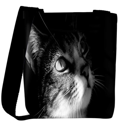 

Snoogg Sling Bag(Multicolor)