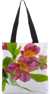 

Snoogg Tote(Multicolor)