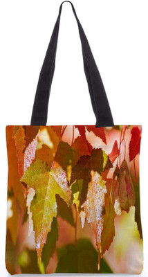 

Snoogg Tote(Multicolor)