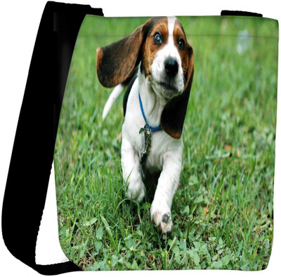 

Snoogg Sling Bag(Multicolor)