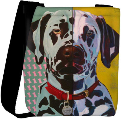 

Snoogg Sling Bag(Multicolor)