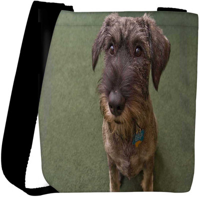 

Snoogg Sling Bag(Multicolor)