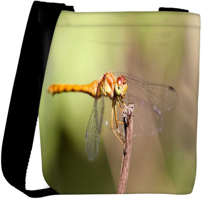 

Snoogg Sling Bag(Multicolor)