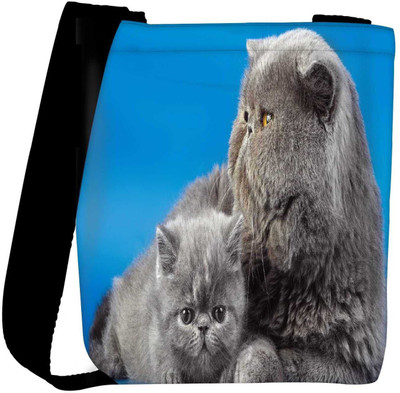 

Snoogg Sling Bag(Multicolor)