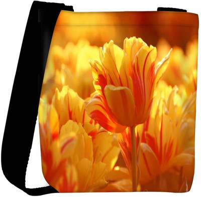

Snoogg Sling Bag(Multicolor)