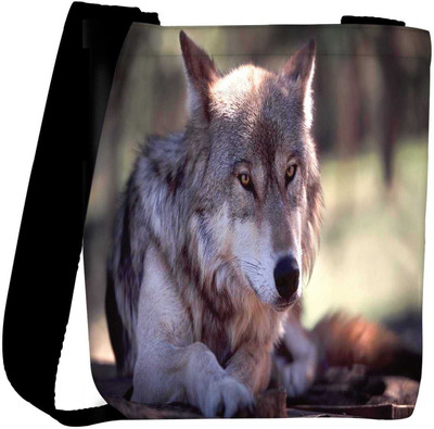 

Snoogg Sling Bag(Multicolor)