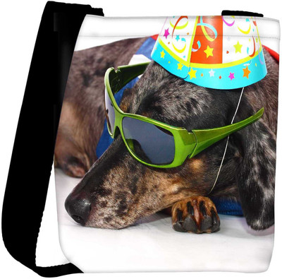 

Snoogg Sling Bag(Multicolor)