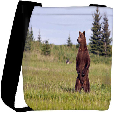 

Snoogg Sling Bag(Multicolor)