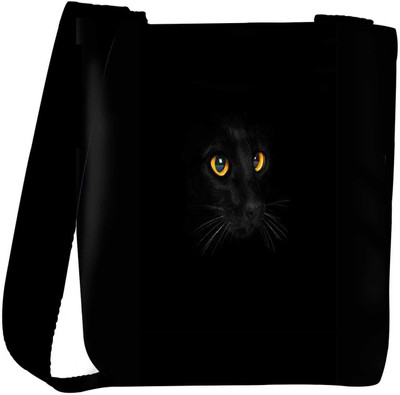 

Snoogg Sling Bag(Multicolor)