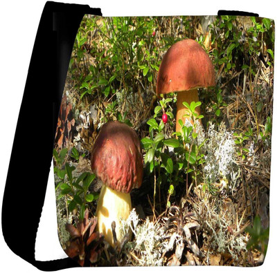

Snoogg Sling Bag(Multicolor)