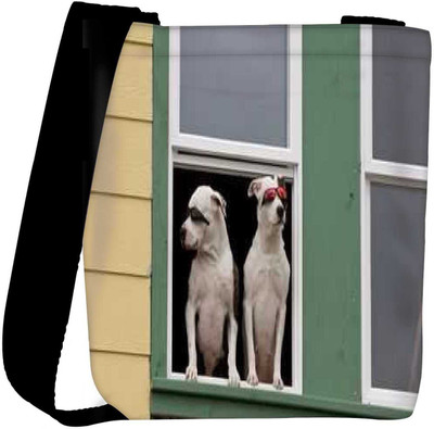

Snoogg Sling Bag(Multicolor)