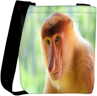 

Snoogg Sling Bag(Multicolor)
