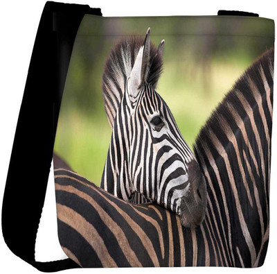 

Snoogg Sling Bag(Multicolor)