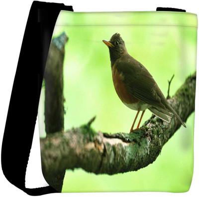 

Snoogg Sling Bag(Multicolor)