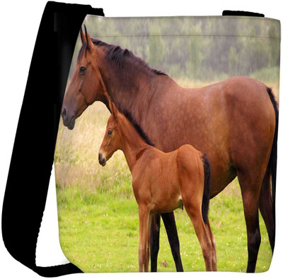 

Snoogg Sling Bag(Multicolor)
