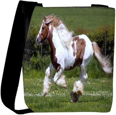 

Snoogg Sling Bag(Multicolor)