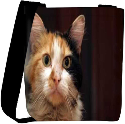 

Snoogg Sling Bag(Multicolor)