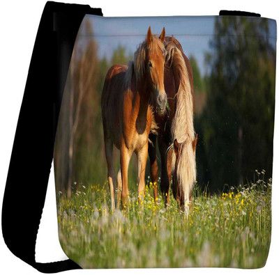 

Snoogg Sling Bag(Multicolor)