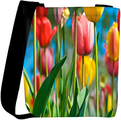 

Snoogg Sling Bag(Multicolor)