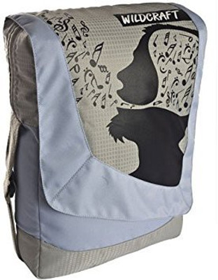 

Wildcraft Messenger Bag(Blue)