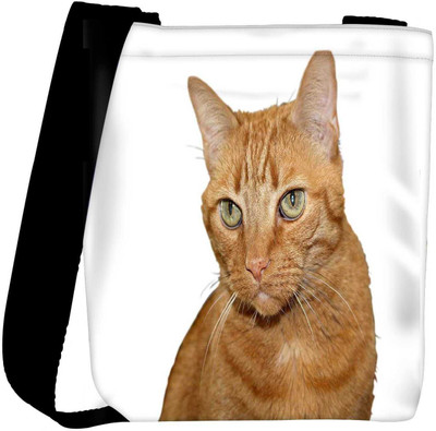 

Snoogg Sling Bag(Multicolor)