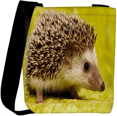 

Snoogg Sling Bag(Multicolor)