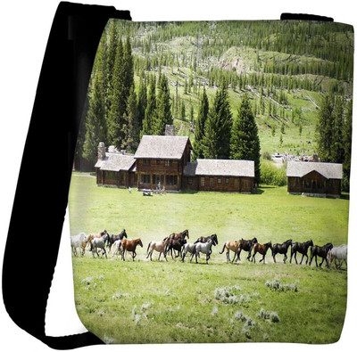 

Snoogg Sling Bag(Multicolor)
