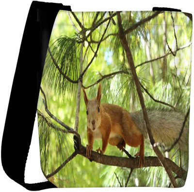 

Snoogg Sling Bag(Multicolor)