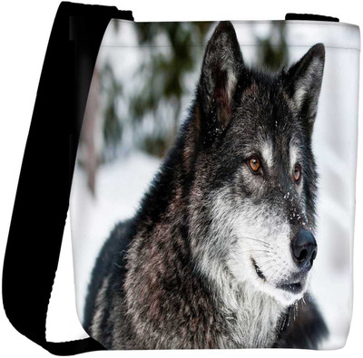 

Snoogg Sling Bag(Multicolor)