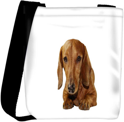 

Snoogg Sling Bag(Multicolor)