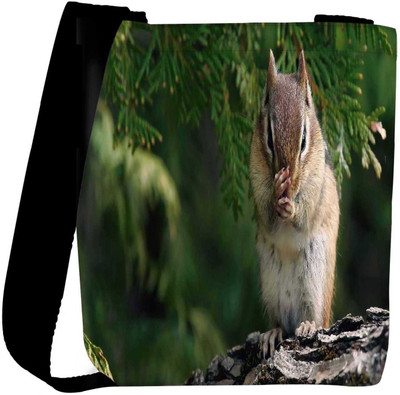 

Snoogg Sling Bag(Multicolor)