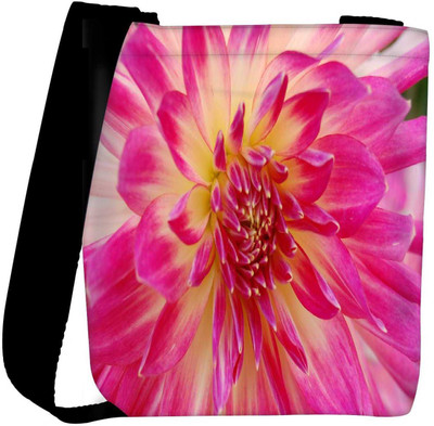 

Snoogg Sling Bag(Multicolor)