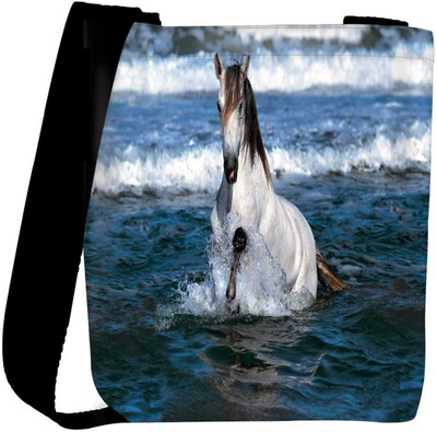 

Snoogg Sling Bag(Multicolor)