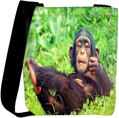 

Snoogg Sling Bag(Multicolor)