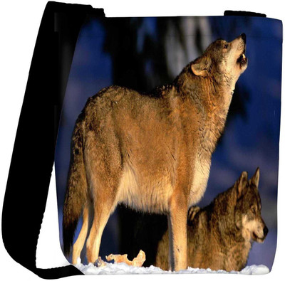 

Snoogg Sling Bag(Multicolor)